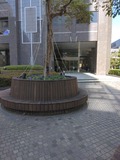 IMG_20260228_103135