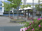 CIMG3265