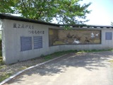 CIMG2634