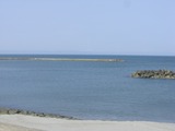 98b1d6b8.jpg
