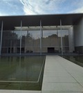 IMG_20231116_155033