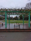 IMG_20260320_114315