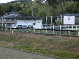 CIMG3271