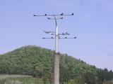 CIMG2638