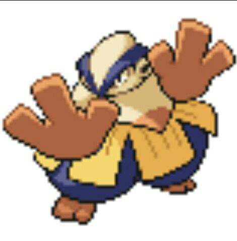 第2回umbreon杯結果 使用構築 絶望性 ポケモン治療薬 第2回umbreon杯結果 使用構築 絶望性 ポケモン治療薬