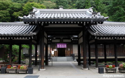 イメージ 9