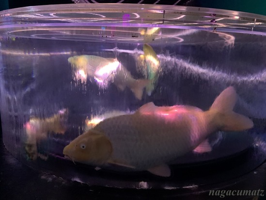 フローティングリウム