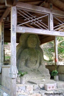 イメージ 9