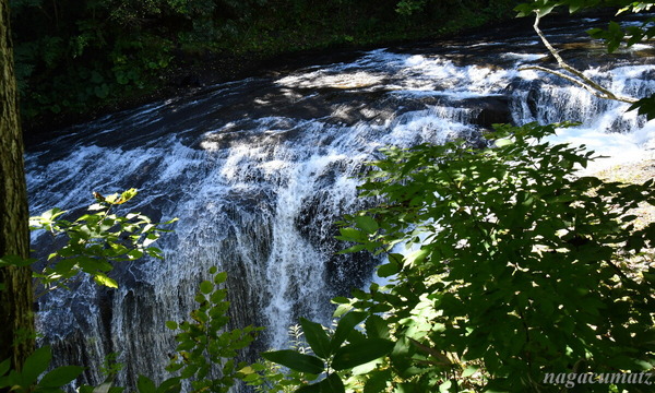 DSC_5301