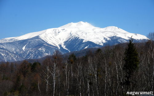 イメージ 8