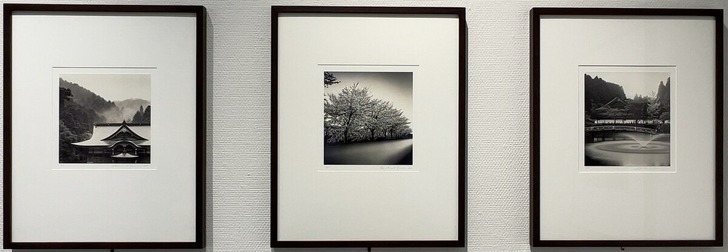 IMG_E8448