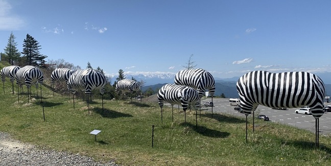 柴田美千里「しまうま」1988