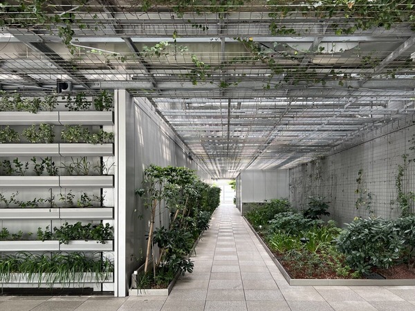 IMG_7502 - コピー