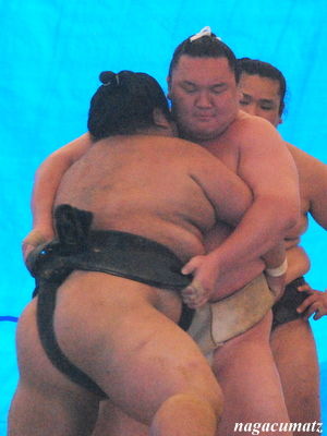 イメージ 4