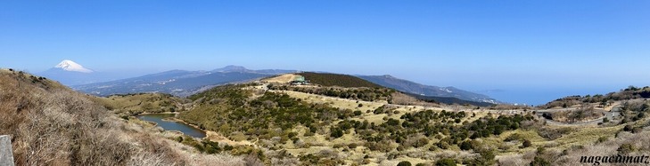 IMG_E6516