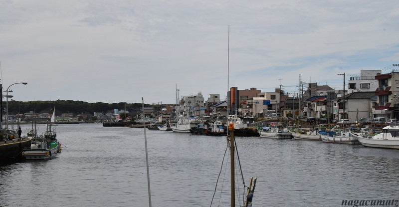 DSC_0416-001
