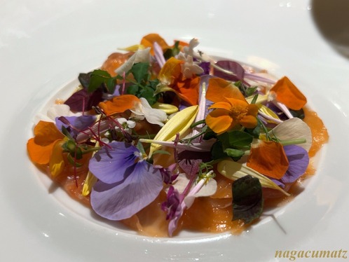 ランス・ヤンギダテ ＜フレンチ＞ （1月’26）