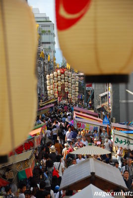 イメージ 13