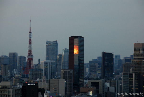 イメージ 5