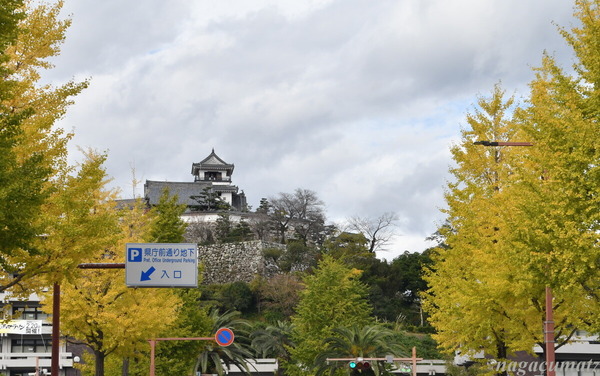 DSC_3285-001
