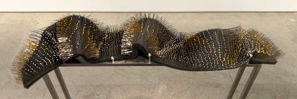 IMG_6254