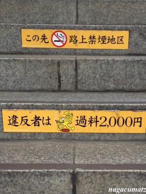 イメージ 8