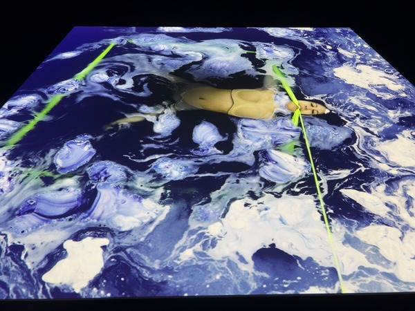 カウィータ・ヴァタナジャンクール Kawita Vatanajyankur