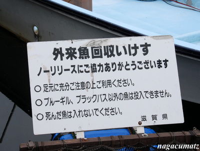 イメージ 12