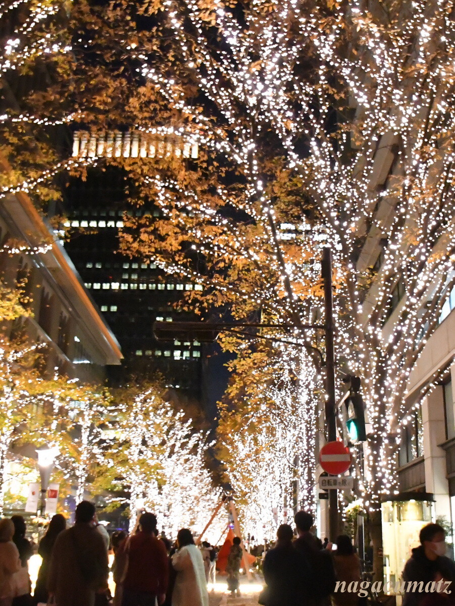 丸の内 銀座 お台場 竹ノ塚 の イルミネーション 12月 21 徒然なる All Over The World