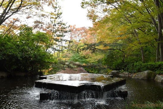 DSC_2091