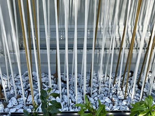 IMG_8808 - コピー