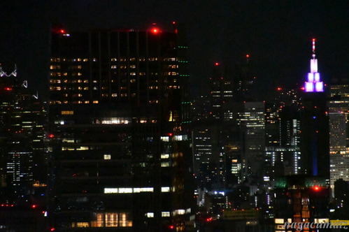 DSC_6331
