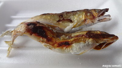 イメージ 6