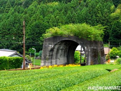 イメージ 1