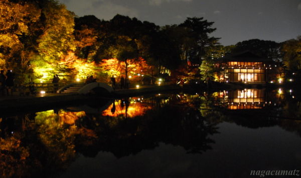 徳川園の紅葉ライトアップ 12月3日 11 徒然なる All Over The World