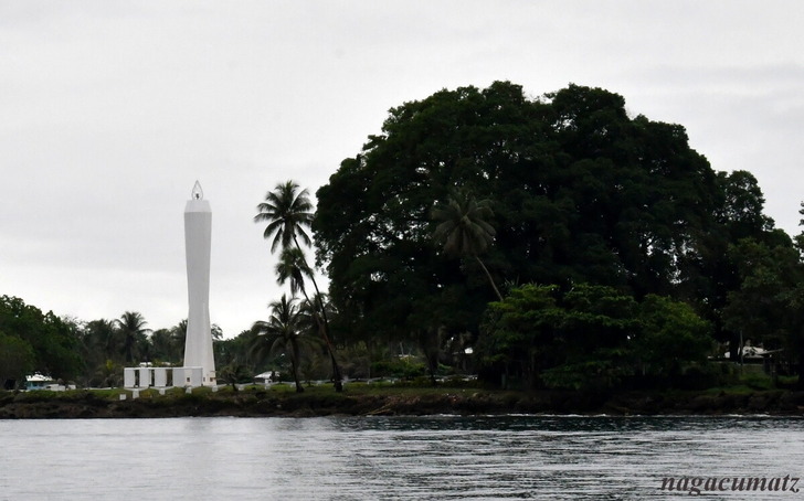 DSC_0453