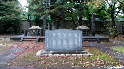 イメージ 5