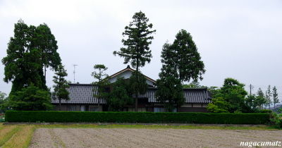 イメージ 10