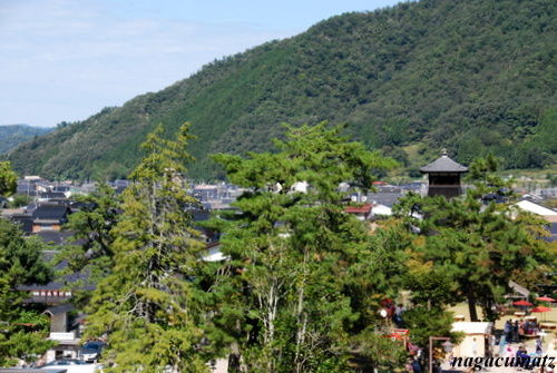 イメージ 10