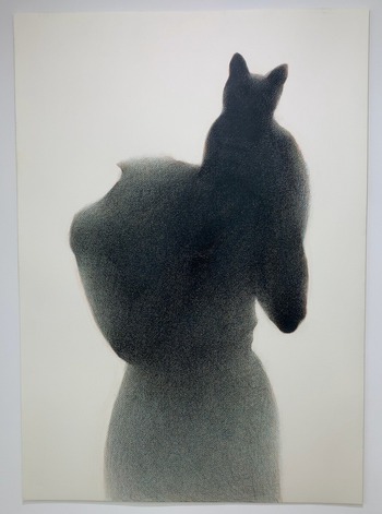 猫を抱く女 Woman holding a cat 2016-2019