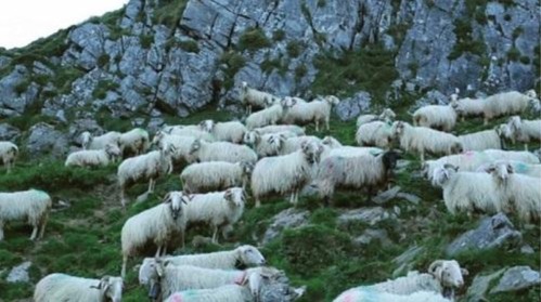 スクリーンショット 2023-08-04 085750