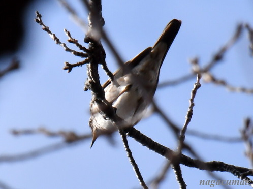 DSC_9278-001