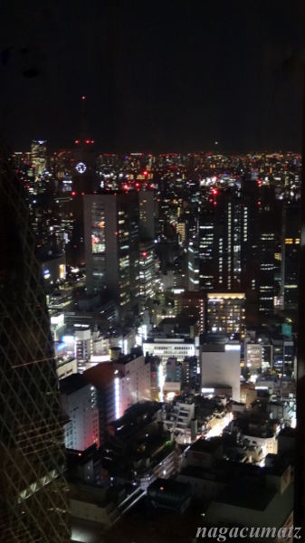 イメージ 5