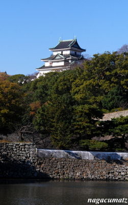 イメージ 14