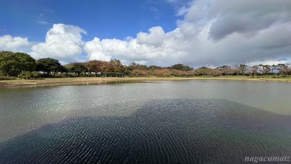 IMG_5128飯盛山公園