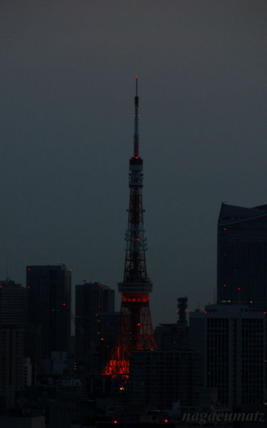 イメージ 4