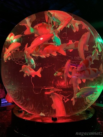 アースアクアリウム・ジャポニズム