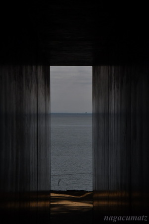 DSC_1211-001