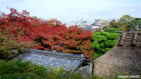 イメージ 12