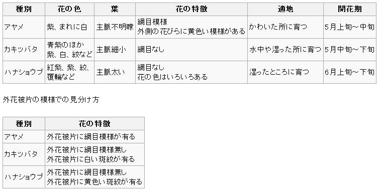 イメージ 3